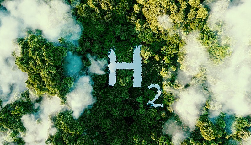 H2 | Wald | Wolken 